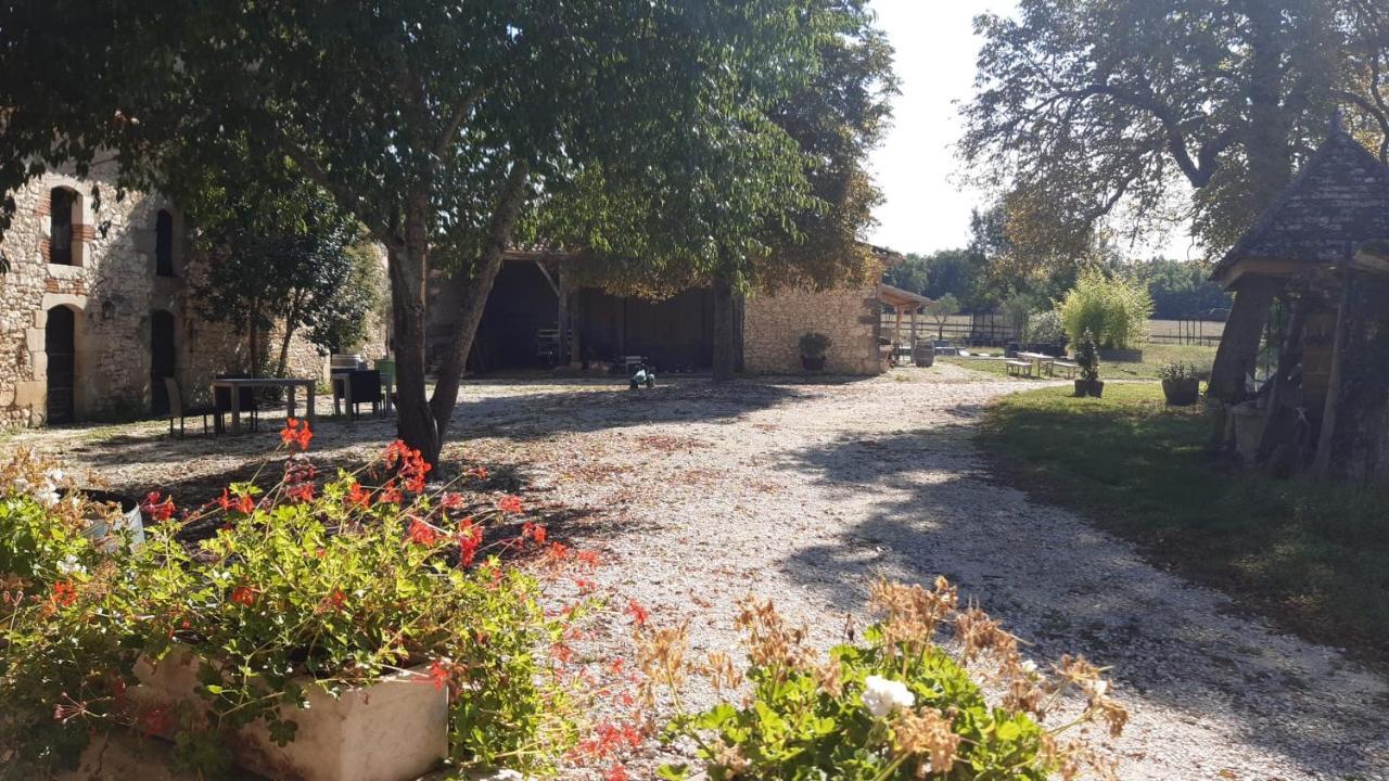 洛特河畔的维伦纽夫Domaine L'Esprit D'Antan住宿加早餐旅馆 外观 照片